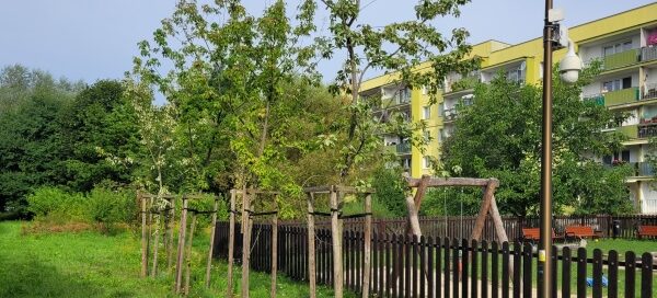 Zielony skwer i plac zabaw w środku blokowiska.