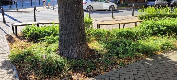 Zielony skwer przy skrzyżowaniu ulic.