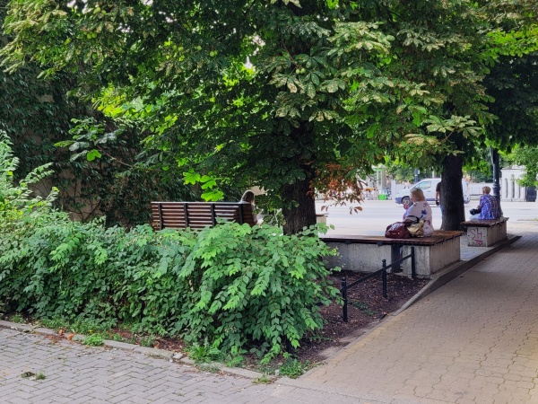 Betonowy skwer z ławkami, otoczony roślinnością.