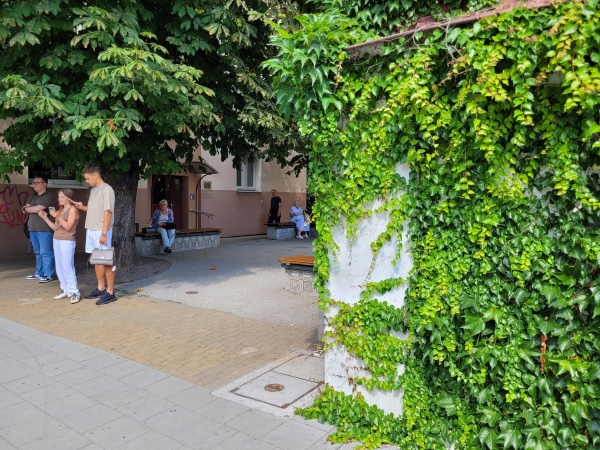 Betonowy skwer z ławkami, otoczony roślinnością.