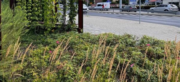 Mały skwer z ławkami i roślinnością na terenie obok fabryki.
