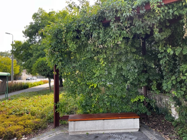 Mały skwer z ławkami, otoczony roślinnością.
