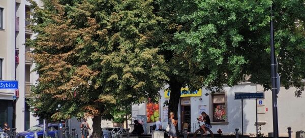 Skwer w kształcie koła z nasadzeniami roślinnymi i ławkami.