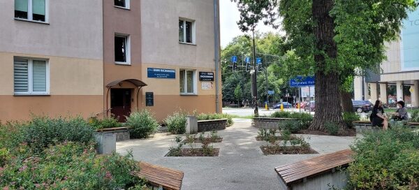 Skwer w centrum miasta. Zaaranżowany wokół starego drzewa. Na skwerze ustawiono ławki. Całość dopełniają nasadzenia roślinne.