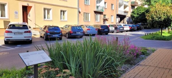 Schemat działania przy deszczowym ogrodzie.