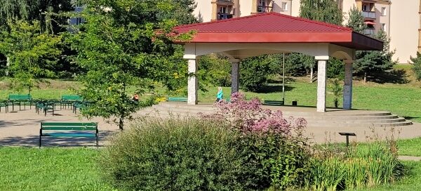 Roślinność ogrodu deszczowego. W tle widać altanę oraz bloki.