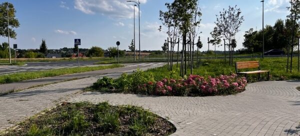 Brukowany skwer, otoczony roślinnością.