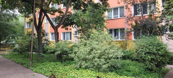 Alejki wśród roślinności. W tle widoczny blok.