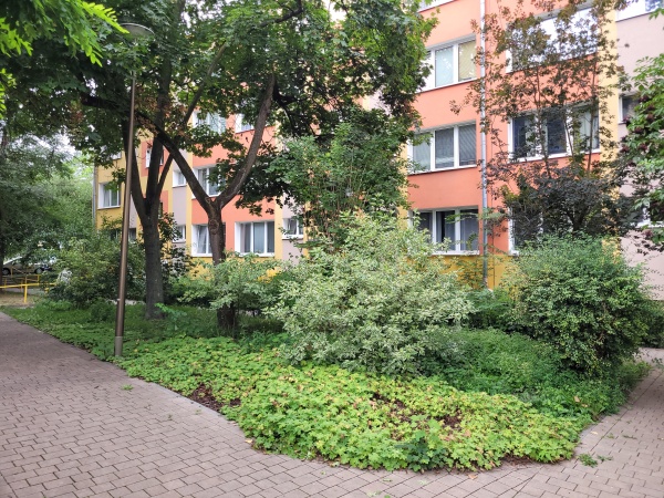 Alejki wśród roślinności. W tle widoczny blok.