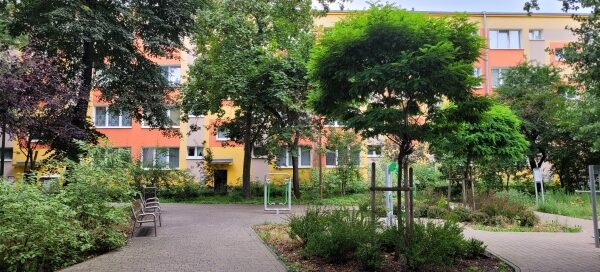 Alejki wśród roślinności.