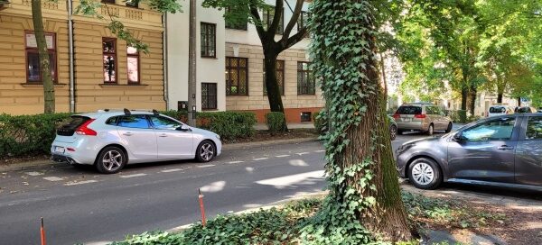 Kompozycja z drzew, krzewów i bylin w pasach zieleni, pomiędzy chodnikiem a ulicą.