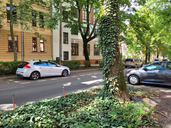 Kompozycja z drzew, krzewów i bylin w pasach zieleni, pomiędzy chodnikiem a ulicą.