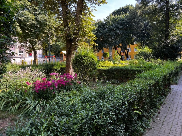 Roślinność skweru.