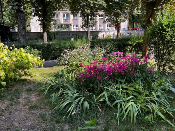 Roślinność skweru.