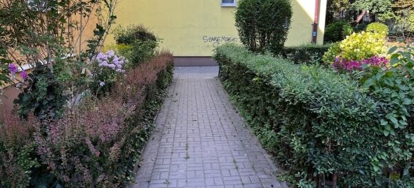 Chodnik oddzielony żywopłotem.