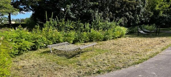 Roślinność otaczająca plac.