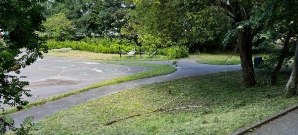 Roślinność otaczająca plac.