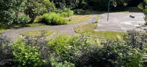 Roślinność otaczająca plac.