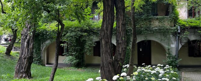 Skwer usytuowany na terenie Starego Miasta. Stary drzewostan połączony jest z nasadzeniami roślinnymi i meblami miejskimi. W tle widoczny jest budynek porośnięty pnączami.