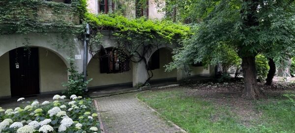 Alejka przebiegająca przez skwer. Widoczny budynek porośnięty pnączami.