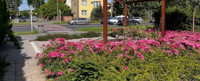Mały skwer z betonowymi ławkami i pergolą, ozdobioną roślinnością.