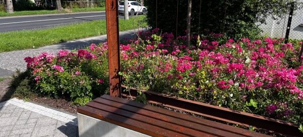 Mały skwer z betonowymi ławkami i pergolą, ozdobioną roślinnością.