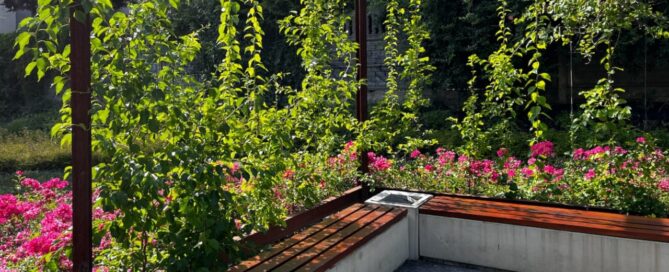 Mały skwer z betonowymi ławkami i pergolą, ozdobioną roślinnością.