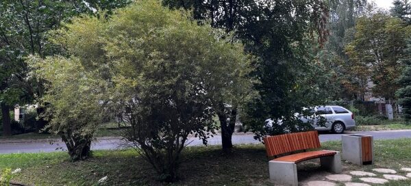 Ścieżka z nieregularnych płyt w trawniku, otoczona starodrzewami. Obok ścieżki postawiono ławkę.
