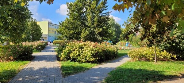 Chodniki dla pieszych oddzielone terenami z roślinnością.
