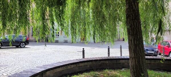 Betonowy skwer, na którym, w wydzielonych miejscach, posadzono drzewa, wierzby.