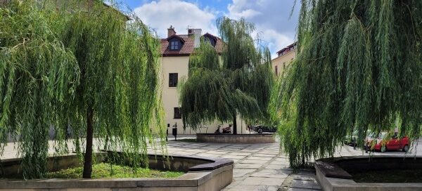 Betonowy skwer, na którym, w wydzielonych miejscach, posadzono drzewa, wierzby.