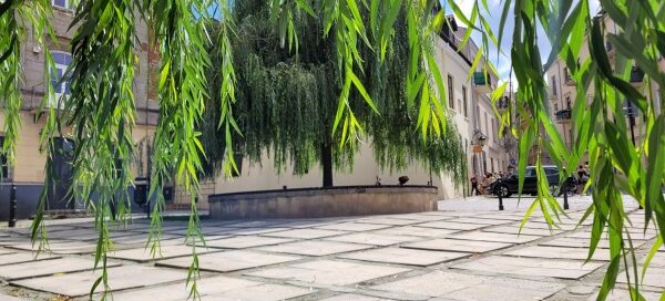Betonowy skwer, na którym, w wydzielonych miejscach, posadzono drzewa, wierzby.