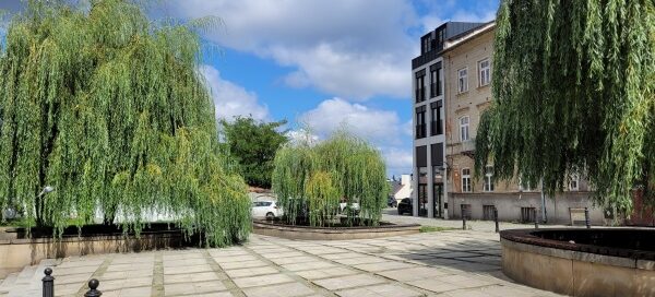 Betonowy skwer, na którym, w wydzielonych miejscach, posadzono drzewa, wierzby.