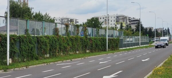 Ekrany akustyczne, porośnięte bluszczem, ustawione obok ulicy.