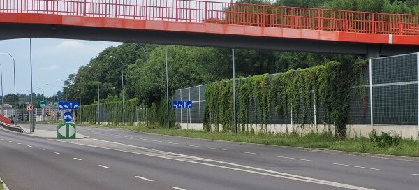 Ekrany akustyczne porośnięte bluszczem obok ulicy.