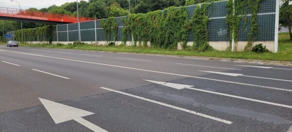 Ekrany porośnięte bluszczem obok ulicy.