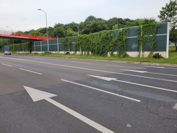 Ekrany porośnięte bluszczem obok ulicy.