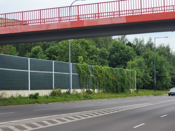 Ekrany akustyczne porośnięte bluszczem obok ulicy.