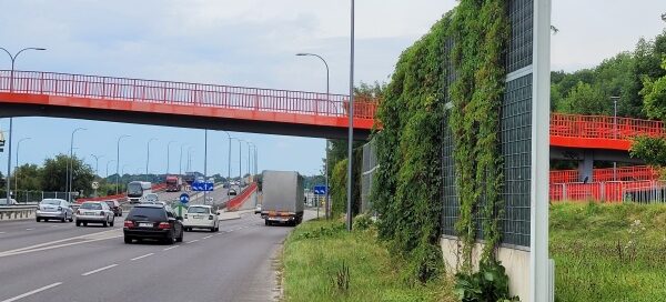 Ekrany akustyczne porośnięte bluszczem, ustawione obok ulicy.