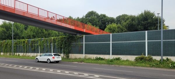 Ekrany akustyczne porośnięte bluszczem obok ulicy.