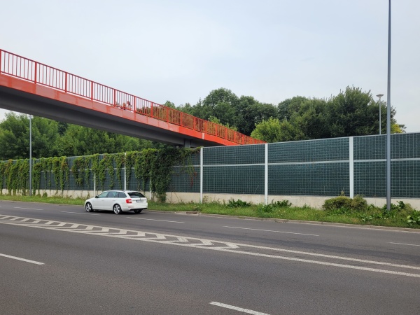 Ekrany akustyczne porośnięte bluszczem obok ulicy.