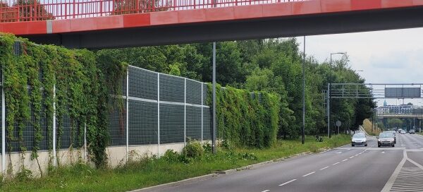Ekrany akustyczne porośnięte bluszczem obok ulicy.