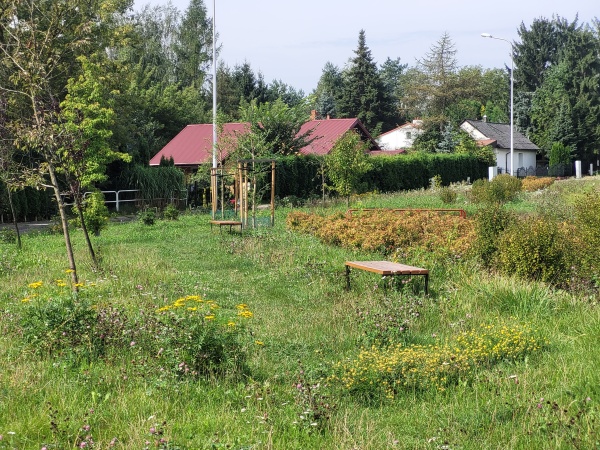 Tren zieleni za ekranami akustycznymi. W tle widoczne domki jednorodzinne.