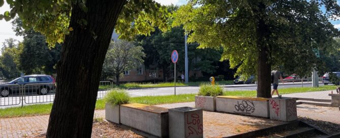 Mały skwer z betonowymi ławkami i koszami, pomiędzy starymi drzewami.
