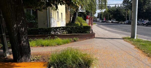 Mały skwer z betonowymi ławkami i koszami, pomiędzy starymi drzewami.