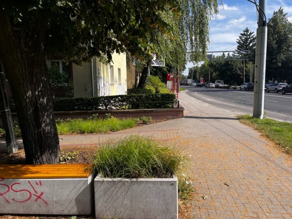 Mały skwer z betonowymi ławkami i koszami, pomiędzy starymi drzewami.