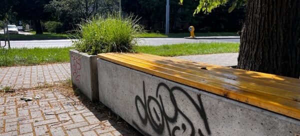 Mały skwer z betonowymi ławkami i koszami, pomiędzy starymi drzewami.