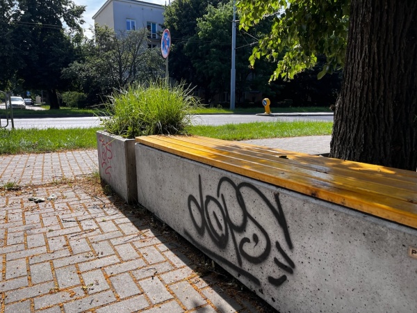 Mały skwer z betonowymi ławkami i koszami, pomiędzy starymi drzewami.