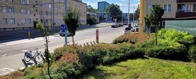 Miejsce z roślinnością na skrzyżowaniu ulic.