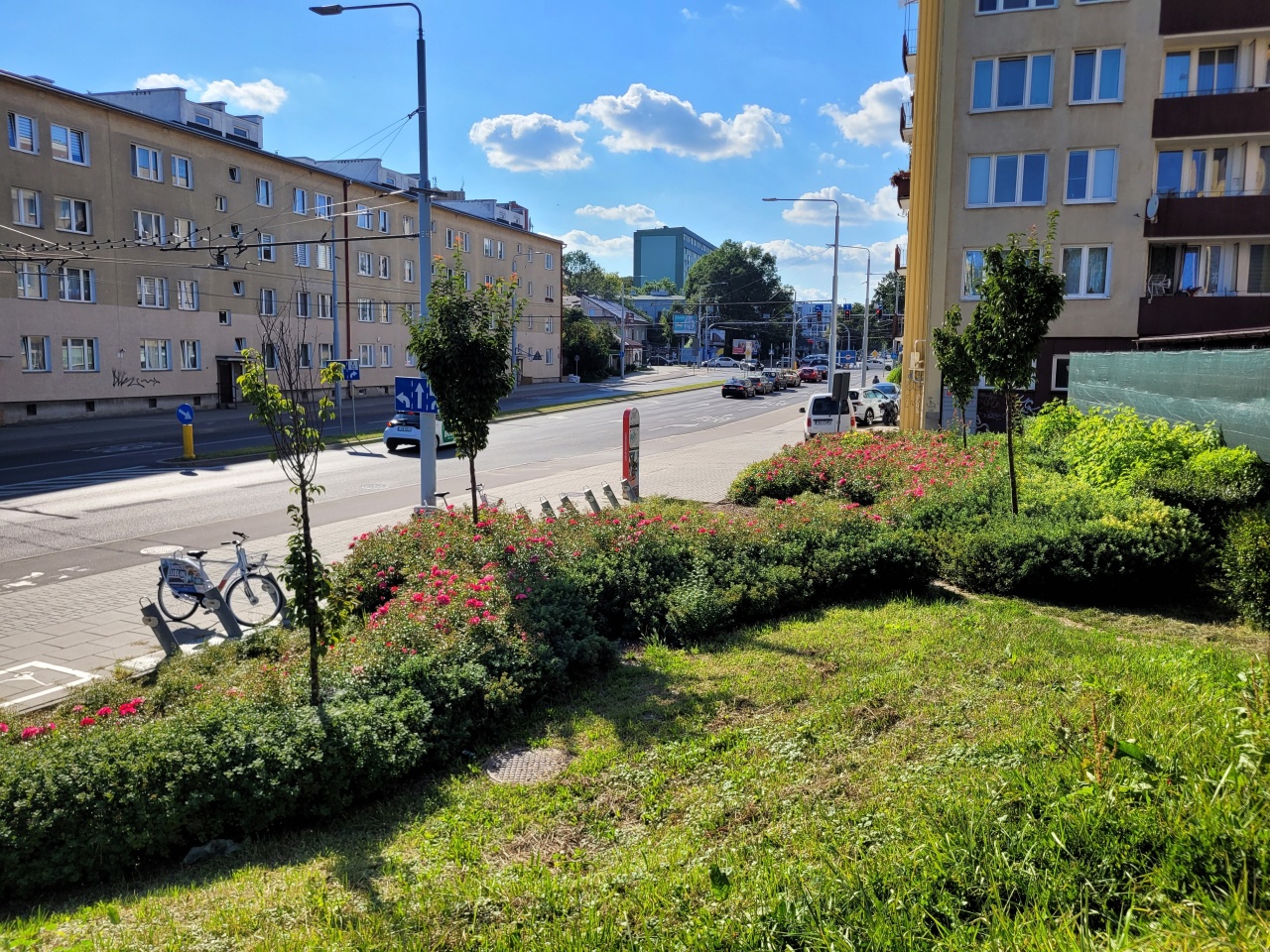Miejsce z roślinnością na skrzyżowaniu ulic.